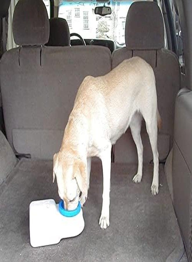 JUDEE Waterboy Travel Water Bowl is Completely BPA-Free and Prevents Chemicals from Mixing into Your Pets Water Perfect for Dogs of All Ages - Image 2